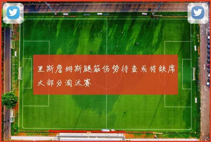 里斯詹姆斯腿筋伤势待查或将缺席大部分淘汰赛